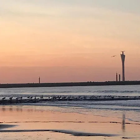 Apartament De Wolfkes *