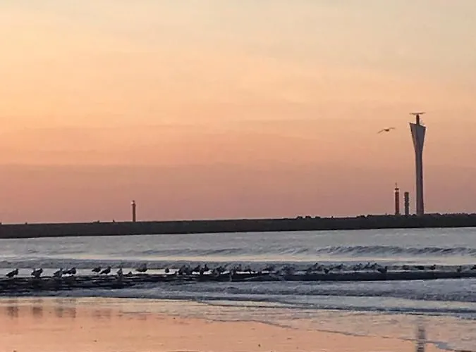 Apartment De Wolfkes *